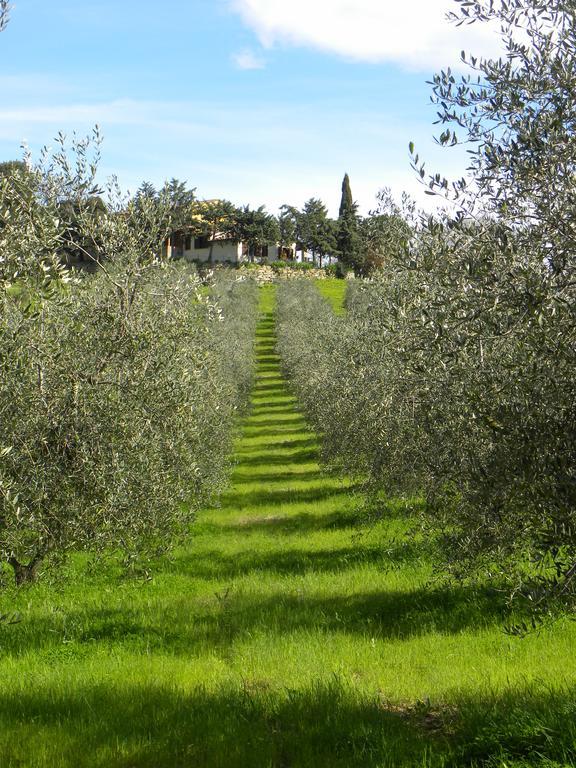 Agriristoro Podere S. Andrea
