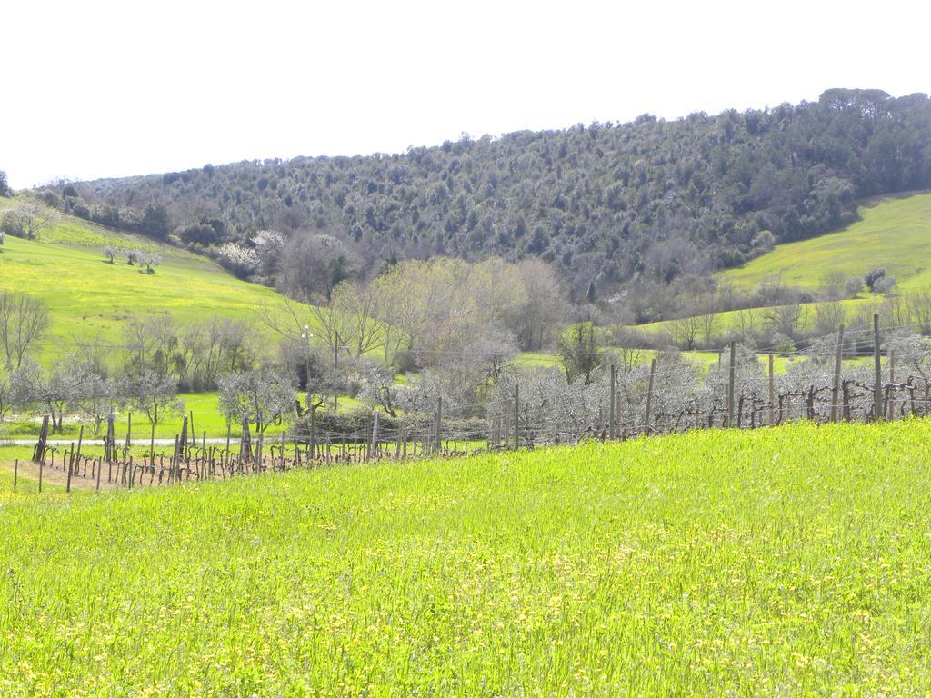 Apartment Agriristoro Podere S. Andrea Massa Marittima