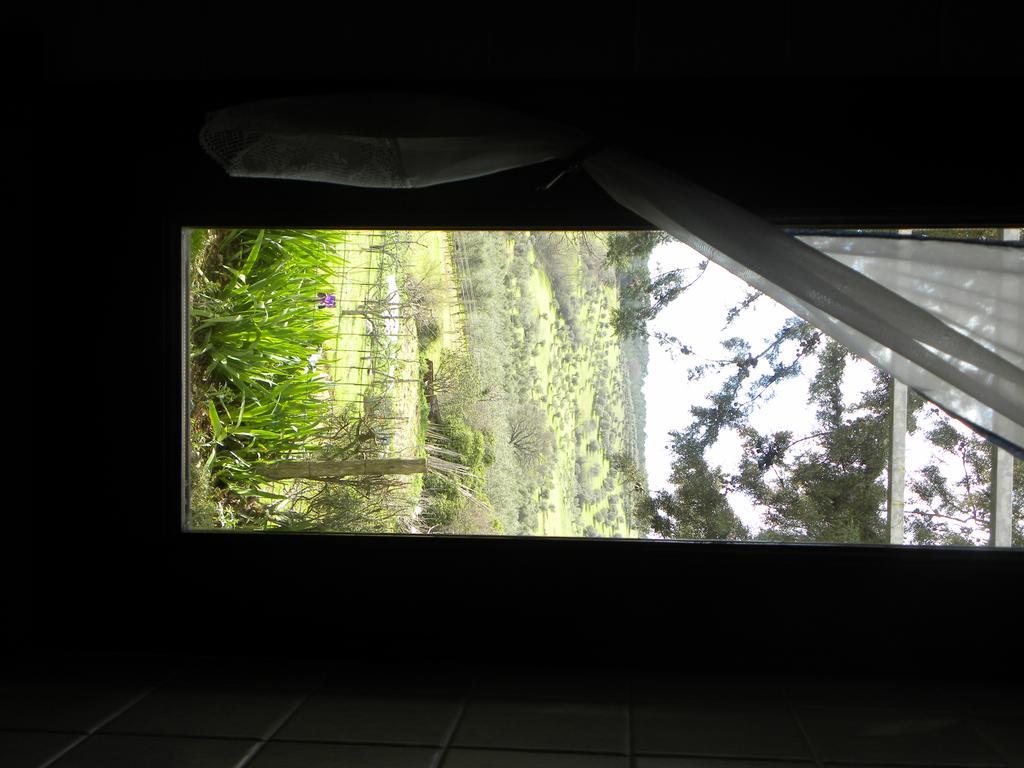 Agriristoro Podere S. Andrea Apartment