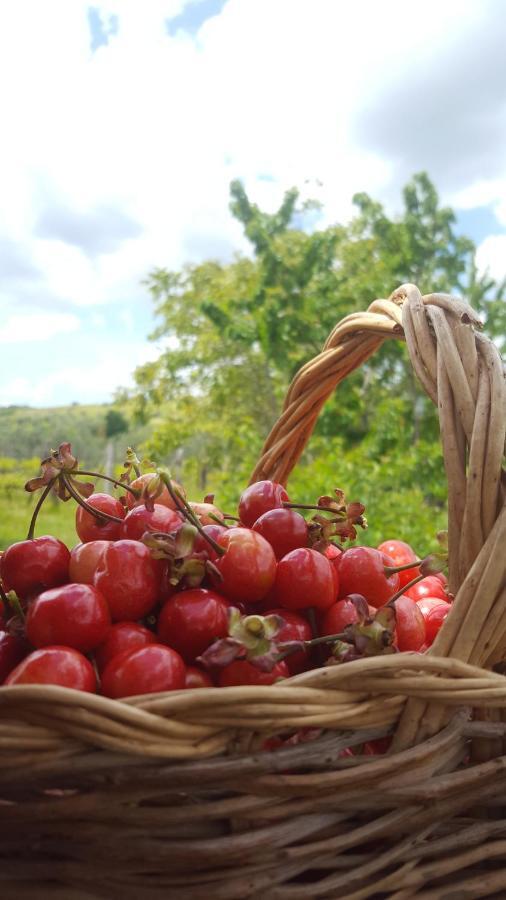 Agriristoro Podere S. Andrea Apartment