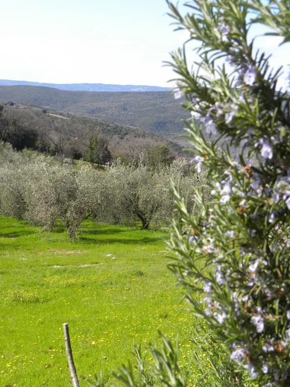Agriristoro Podere S. Andrea