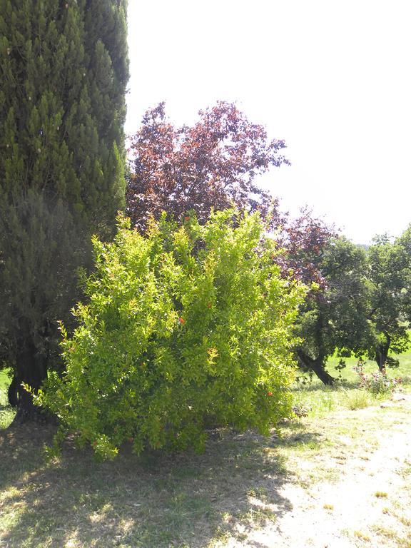 Apartment Agriristoro Podere S. Andrea Massa Marittima