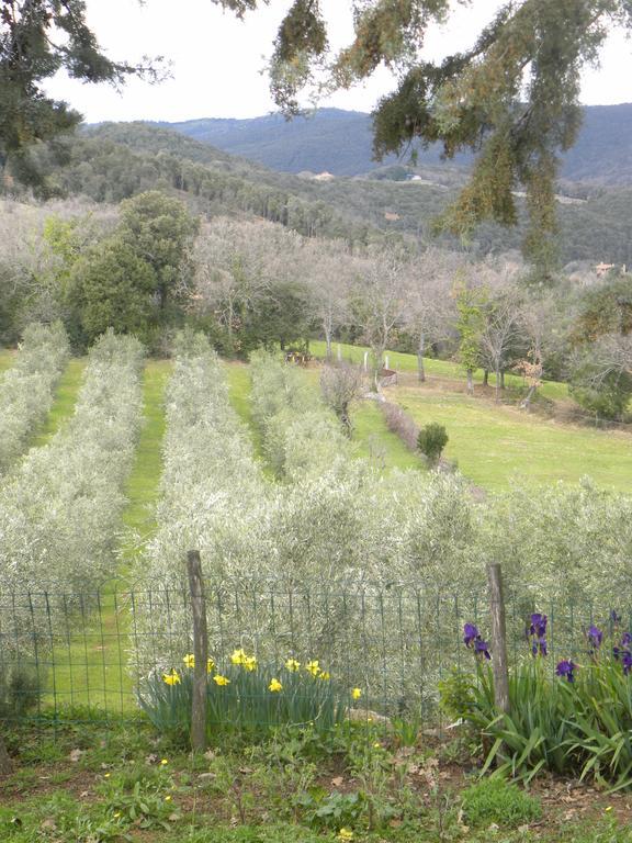 Agriristoro Podere S. Andrea *